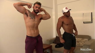 Pornhub Gay Muscle